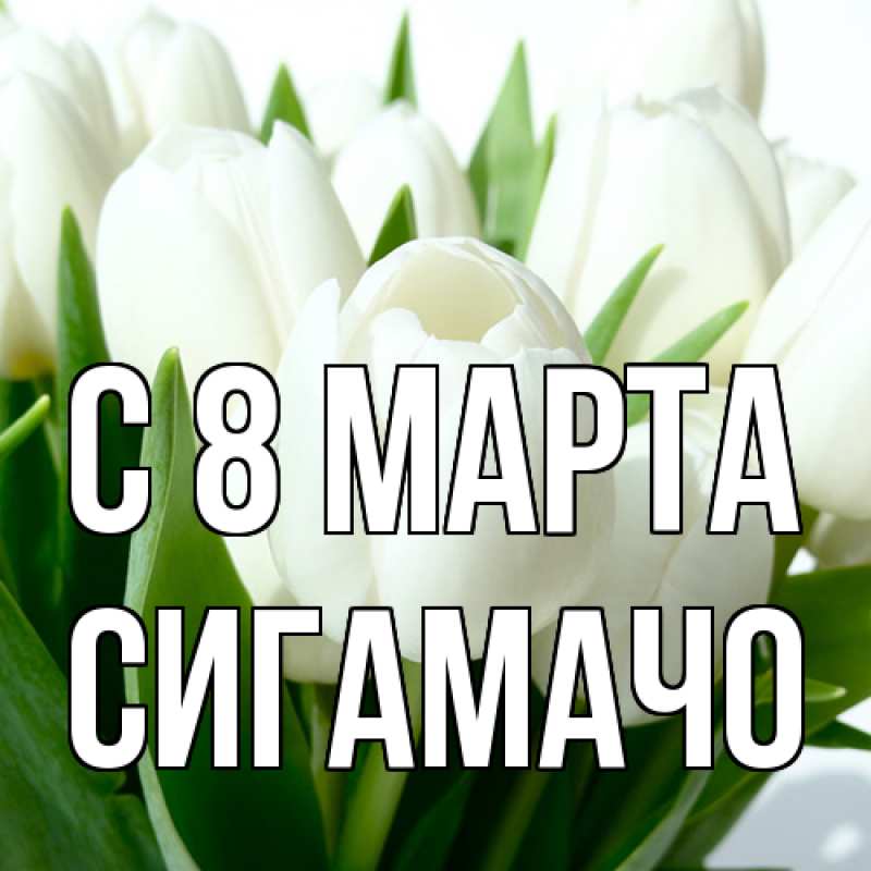 Картинка C 8 МАРТА, Сигамачо