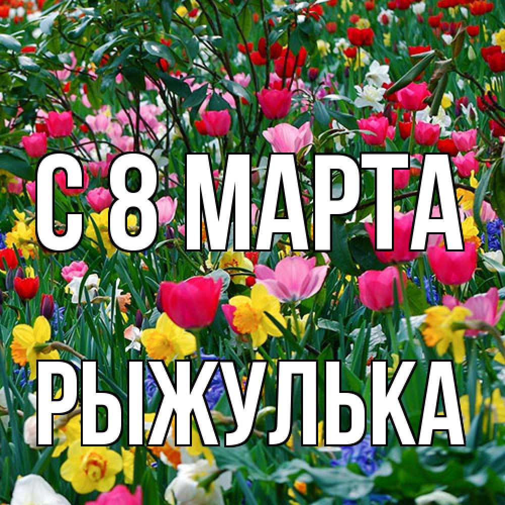 Открытка на каждый день с именем, рыжулька C 8 МАРТА с международным женским днем поздравления для женщины Прикольная открытка с пожеланием онлайн скачать бесплатно 