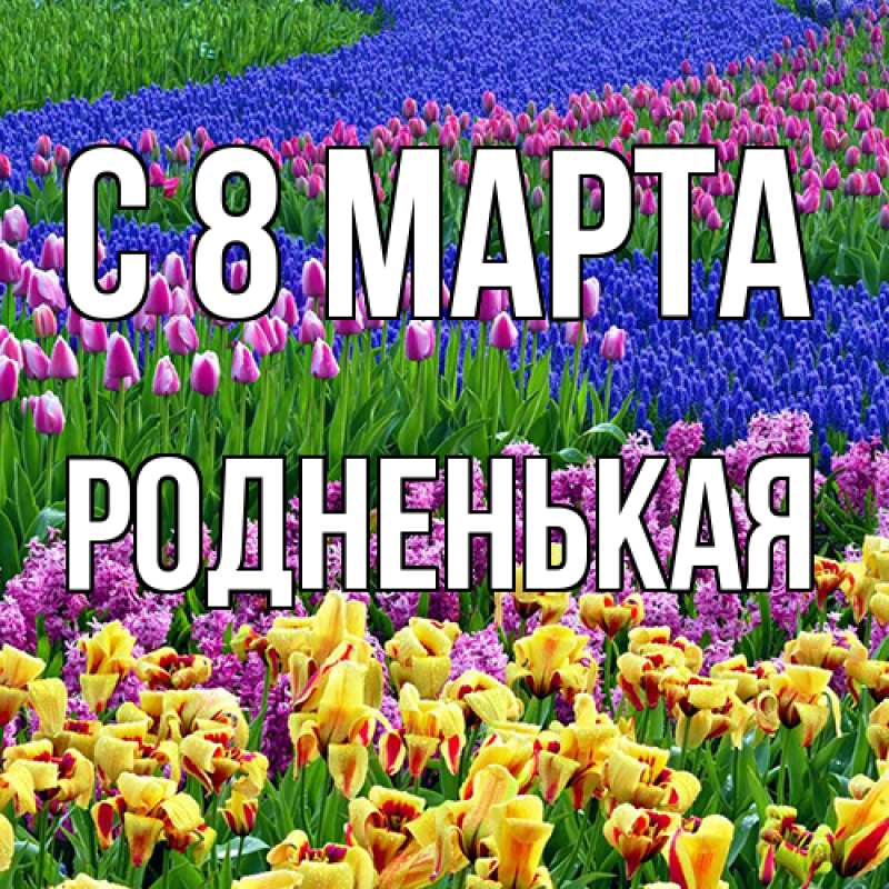 Картинка C 8 МАРТА, Родненькая