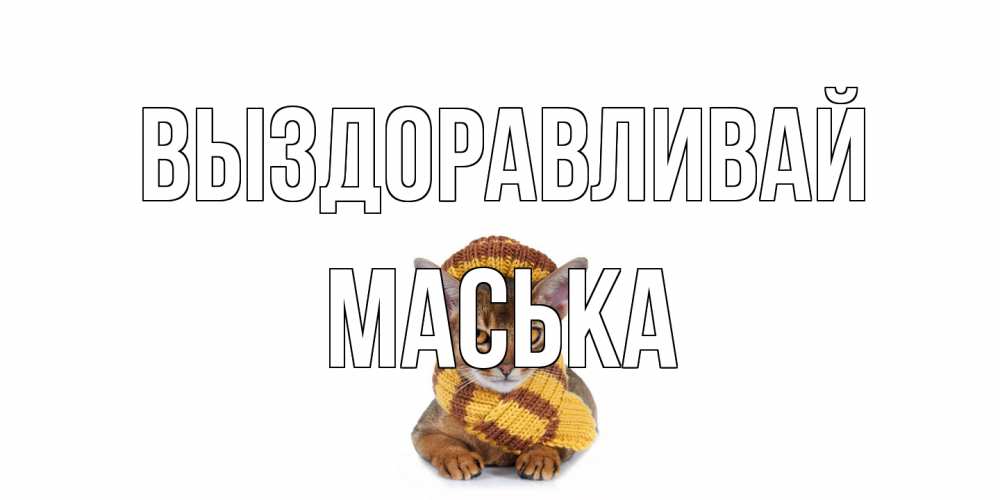 Открытка на каждый день с именем, Маська Выздоравливай родные не болейте Прикольная открытка с пожеланием онлайн скачать бесплатно 