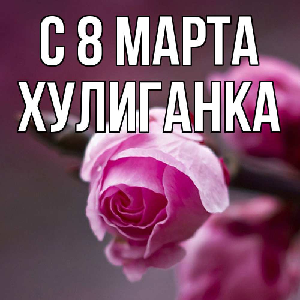 Открытка на каждый день с именем, Хулиганка C 8 МАРТА весна Прикольная открытка с пожеланием онлайн скачать бесплатно 