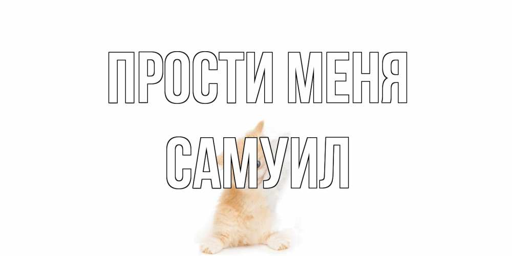 Открытка на каждый день с именем, Самуил Прости меня кот Прикольная открытка с пожеланием онлайн скачать бесплатно 