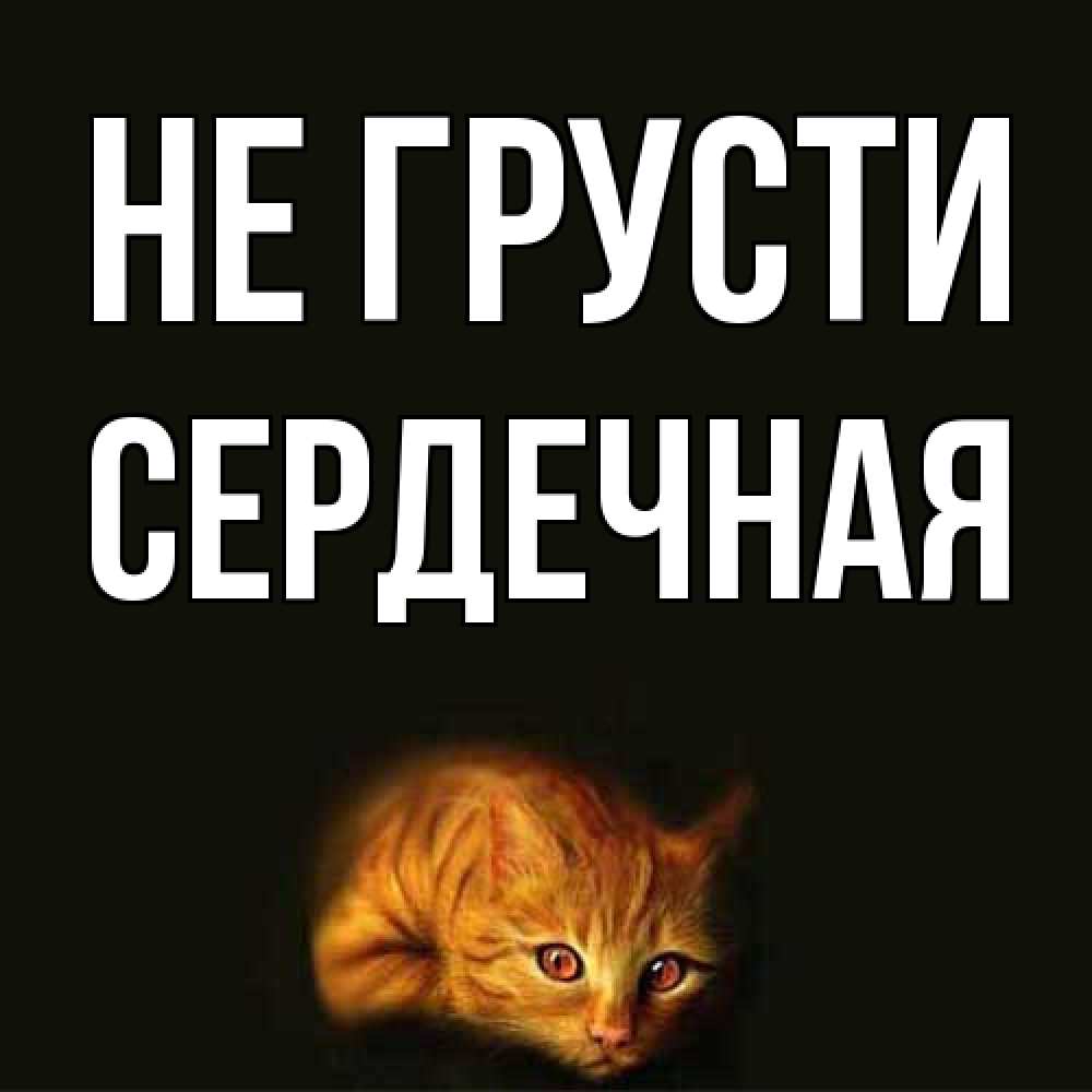 Открытка на каждый день с именем, Сеpдечная Не грусти лежащий кот в темноте Прикольная открытка с пожеланием онлайн скачать бесплатно 