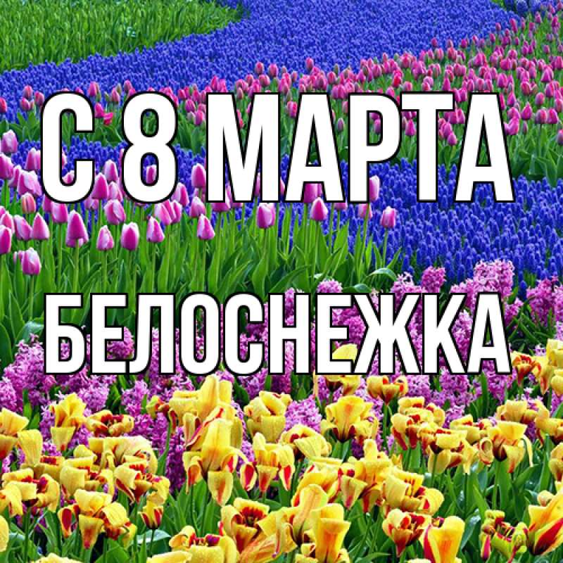 Картинка C 8 МАРТА, Белоснежка