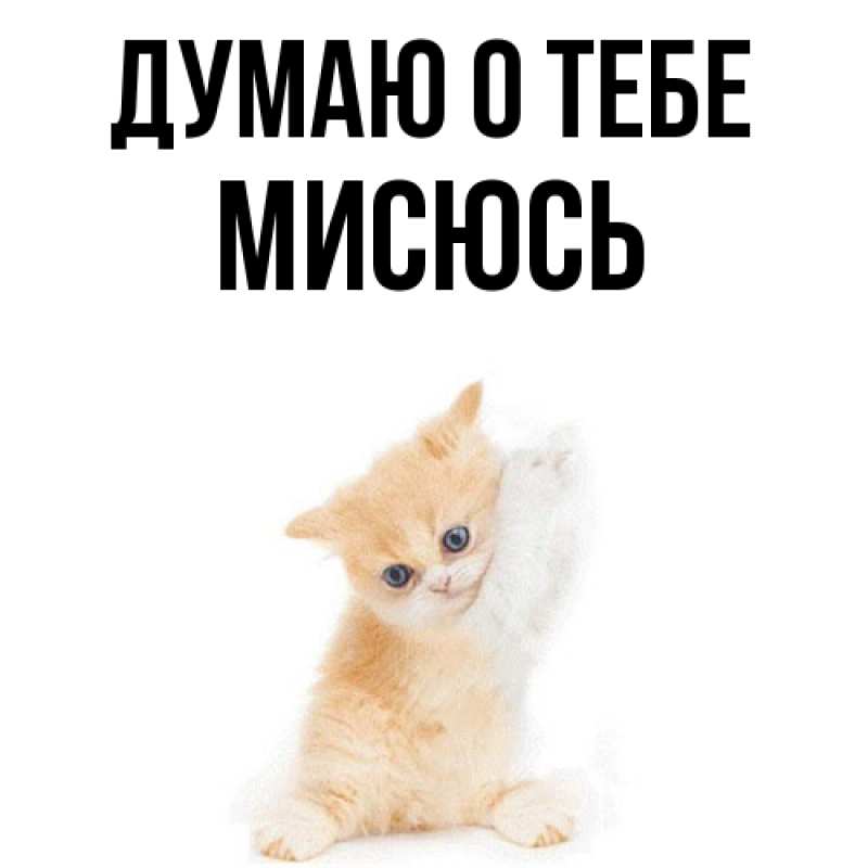 Картинка Думаю о тебе, мисюсь