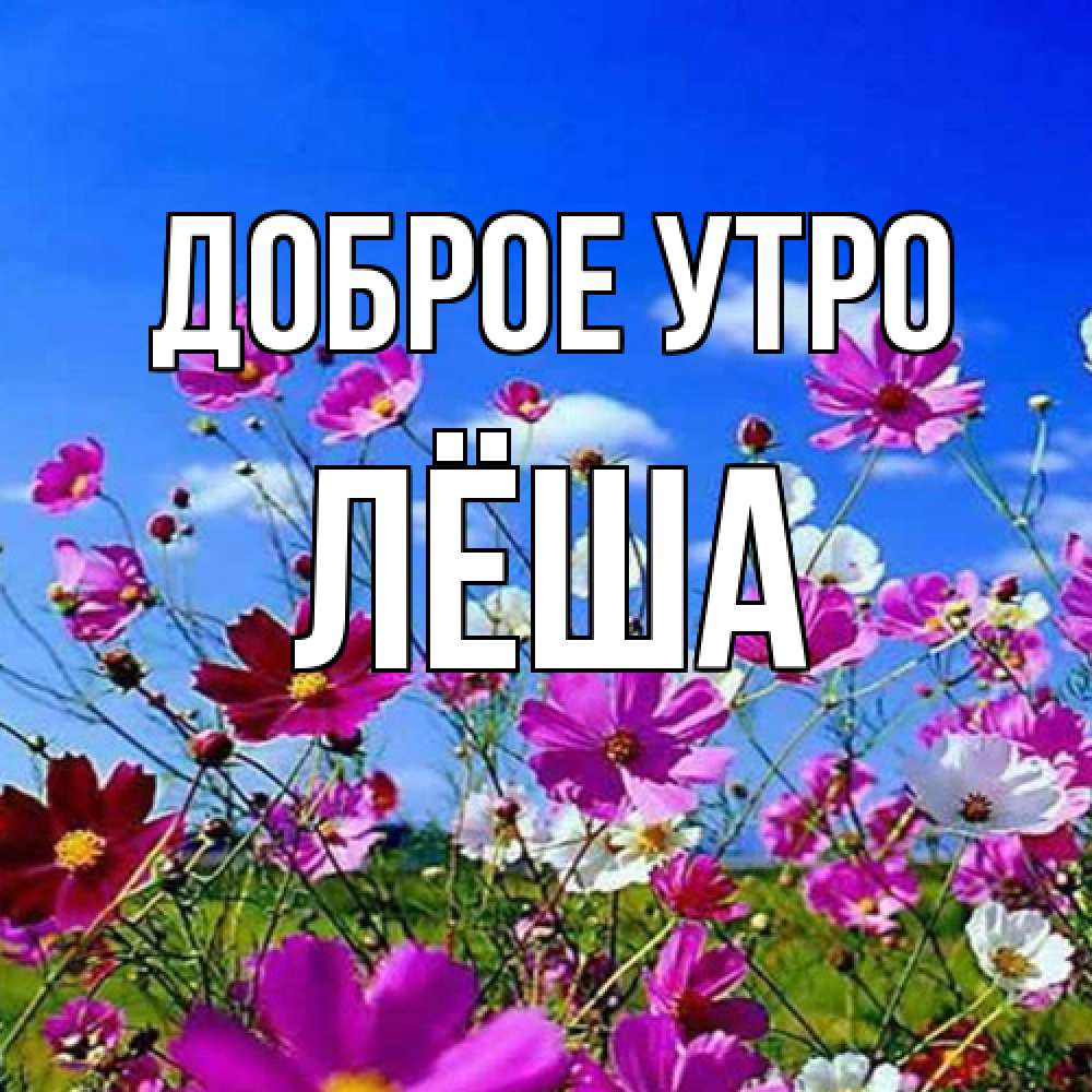 Открытка на каждый день с именем, Лёша Доброе утро сиреневые цветы Прикольная открытка с пожеланием онлайн скачать бесплатно 