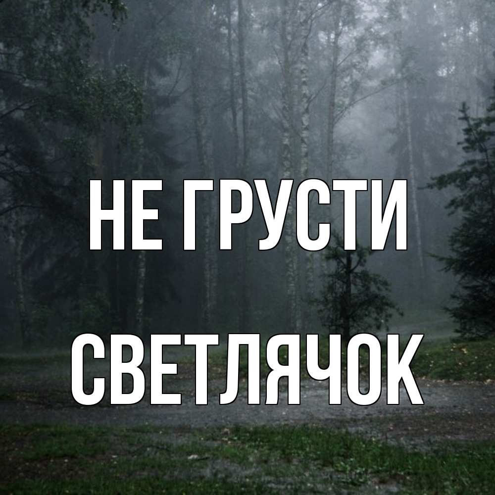 Открытка на каждый день с именем, Светлячок Не грусти осень Прикольная открытка с пожеланием онлайн скачать бесплатно 