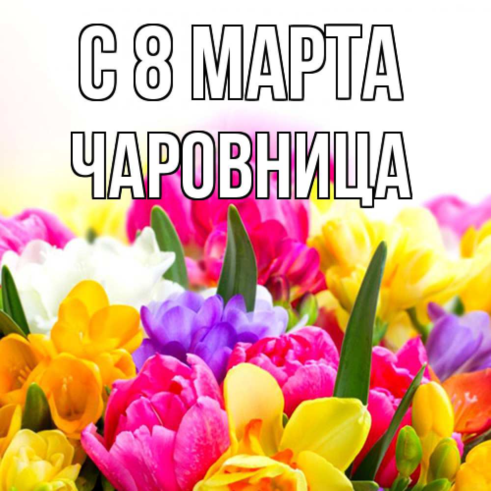 Открытка на каждый день с именем, чаровница C 8 МАРТА тюльпаны Прикольная открытка с пожеланием онлайн скачать бесплатно 