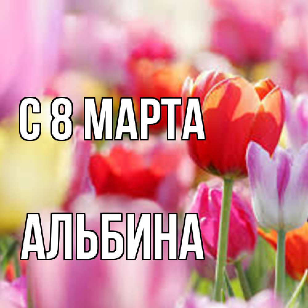 Открытка на каждый день с именем, Альбина C 8 МАРТА на международный женский день 2 Прикольная открытка с пожеланием онлайн скачать бесплатно 