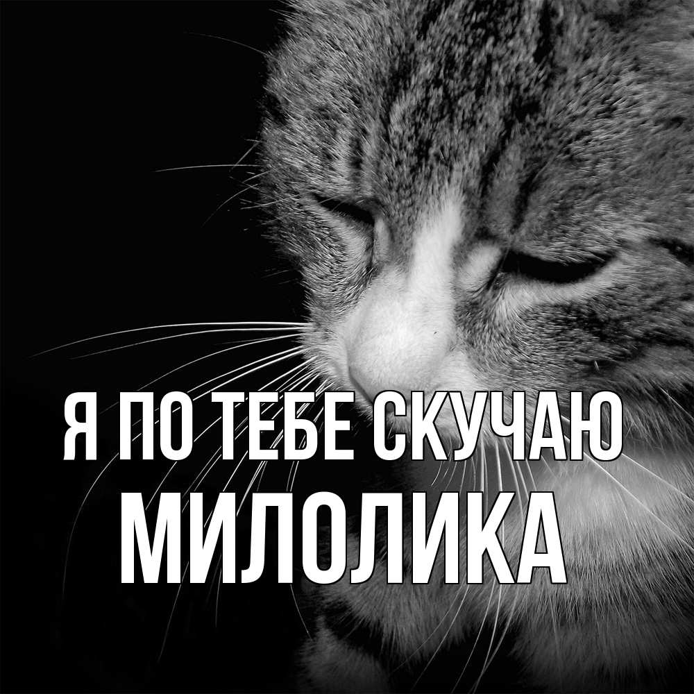 Открытка на каждый день с именем, Милолика Я по тебе скучаю мне скучно Прикольная открытка с пожеланием онлайн скачать бесплатно 