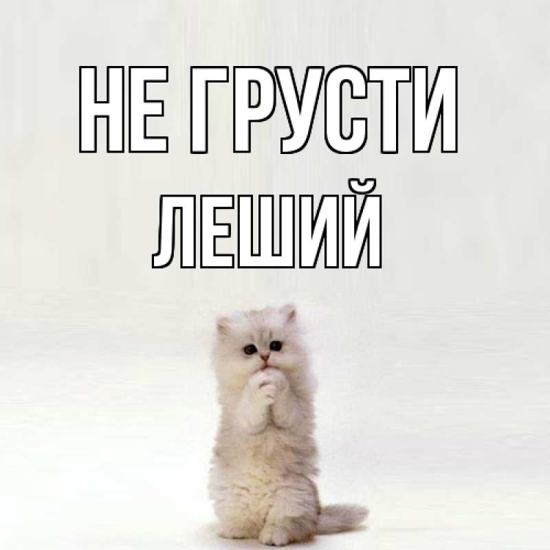 Картинка Не грусти, Леший