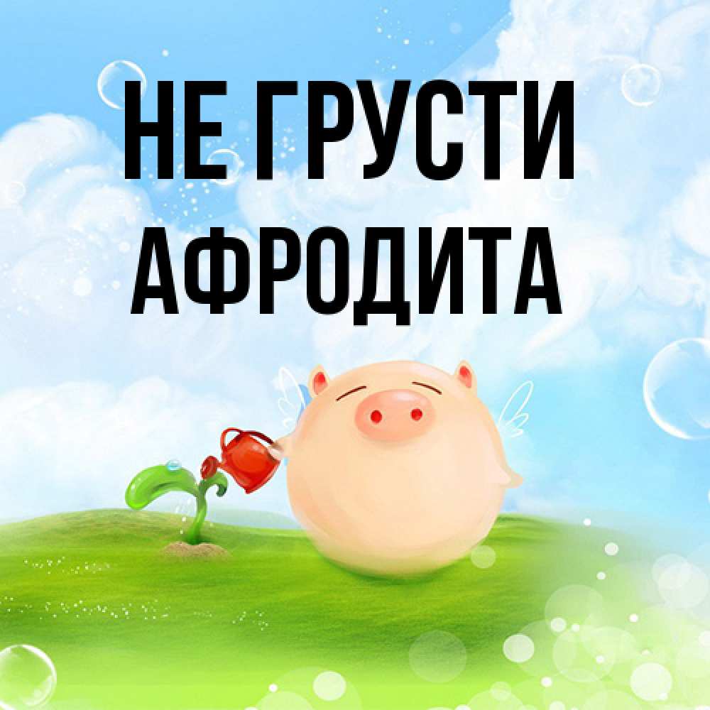 Открытка на каждый день с именем, Афродита Не грусти поливает цветок порося Прикольная открытка с пожеланием онлайн скачать бесплатно 