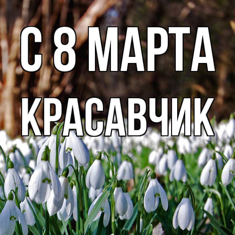 Открытка на каждый день с именем, Красавчик C 8 МАРТА с подснежниками 1 Прикольная открытка с пожеланием онлайн скачать бесплатно 