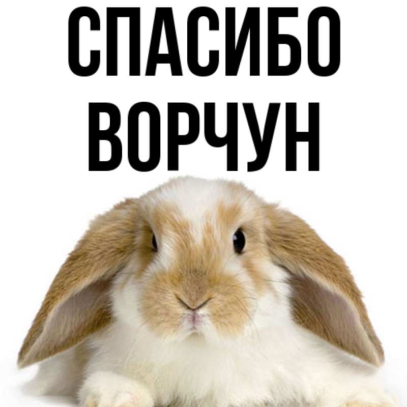 Картинка Спасибо, Ворчун