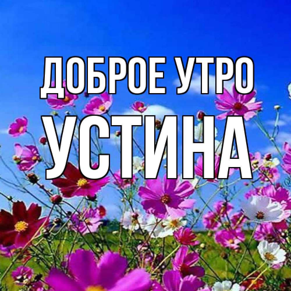 Открытка на каждый день с именем, Устина Доброе утро сиреневые цветы Прикольная открытка с пожеланием онлайн скачать бесплатно 