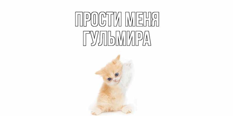 Картинка Прости меня, Гульмира
