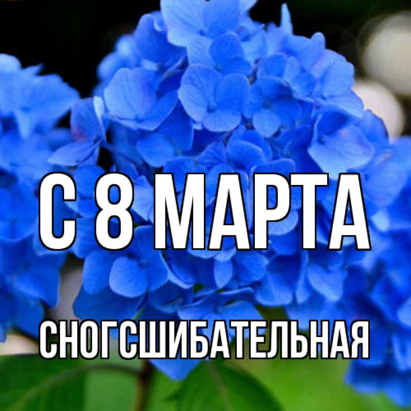Картинка C 8 МАРТА, сногсшибательная