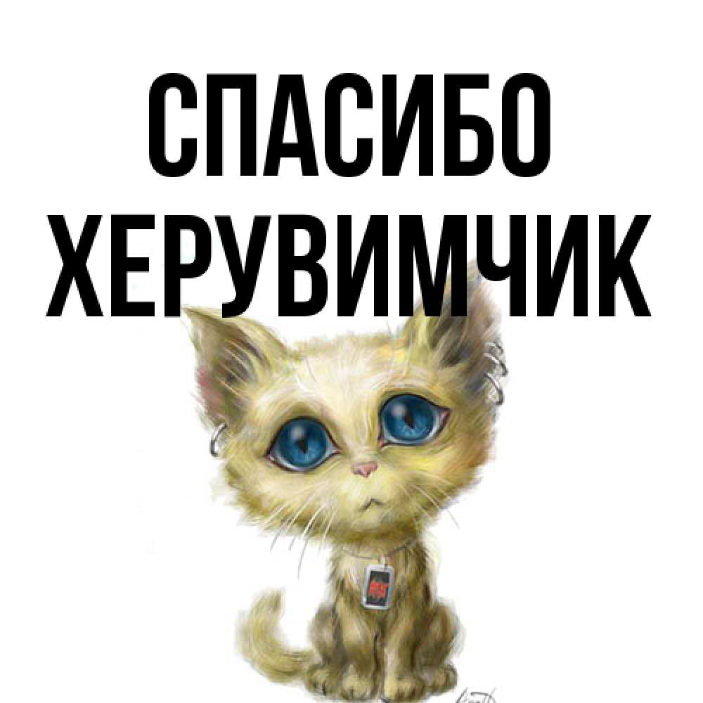 Открытка на каждый день с именем, Хеpувимчик Спасибо рисованный кот благодарит вас Прикольная открытка с пожеланием онлайн скачать бесплатно 