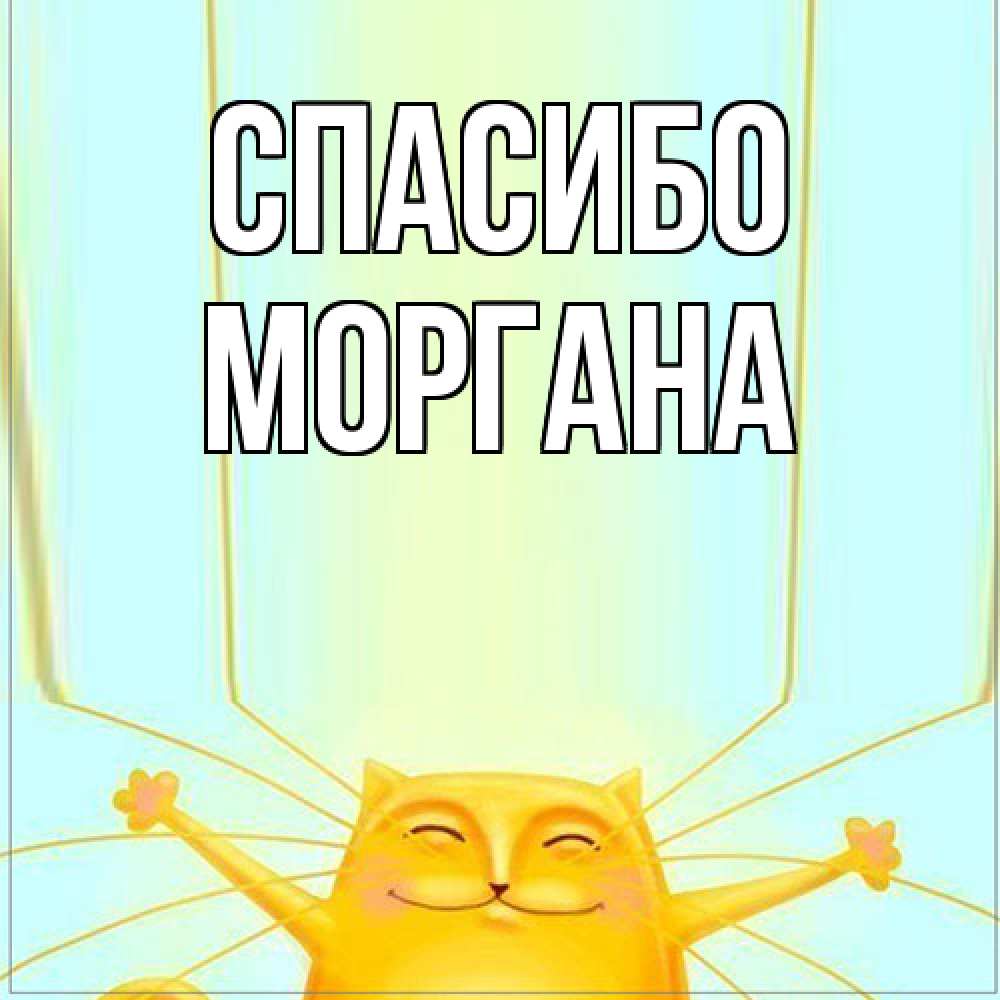Открытка на каждый день с именем, Моргана Спасибо кот с усами благодарит Прикольная открытка с пожеланием онлайн скачать бесплатно 