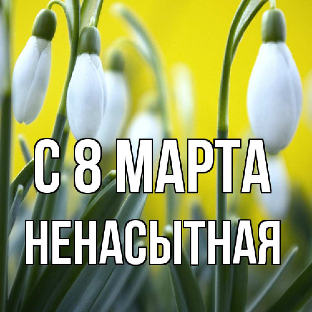 Открытка на каждый день с именем, Ненасытная C 8 МАРТА весенние цветы Прикольная открытка с пожеланием онлайн скачать бесплатно 