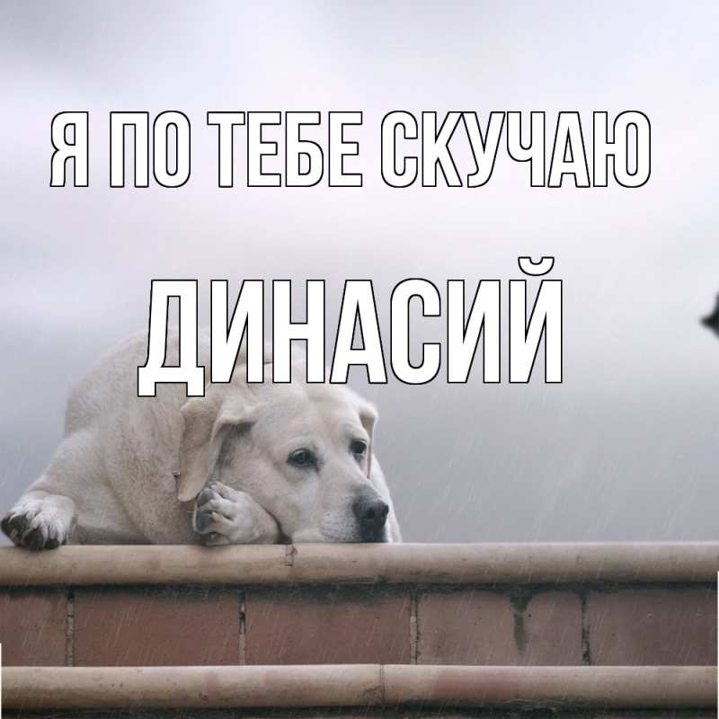 Картинка Я по тебе скучаю, Динасий