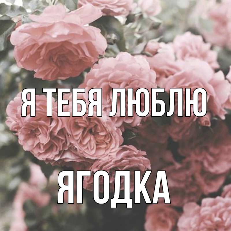 Картинка Я тебя люблю, ягодка