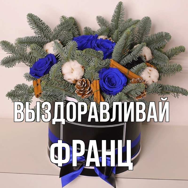 Картинка Выздоравливай, Франц