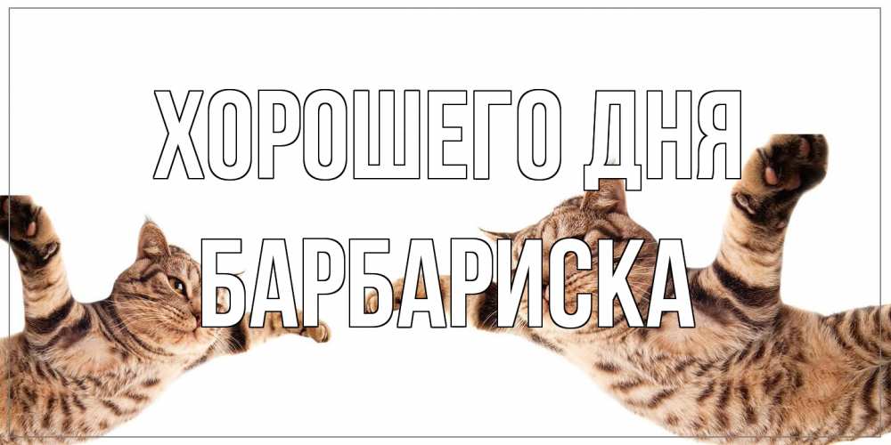 Открытка на каждый день с именем, барбариска Хорошего дня хорошего дня Прикольная открытка с пожеланием онлайн скачать бесплатно 