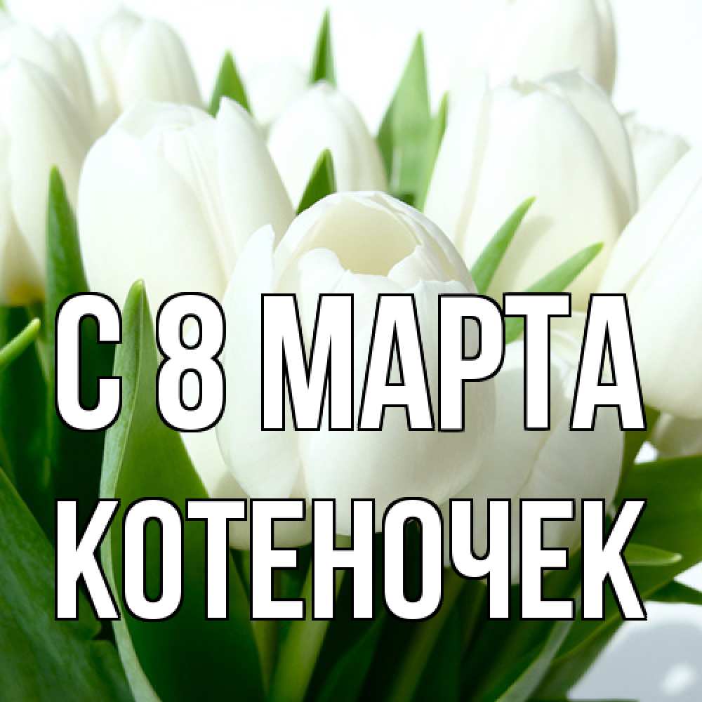 Открытка на каждый день с именем, Котеночек C 8 МАРТА цветы Прикольная открытка с пожеланием онлайн скачать бесплатно 