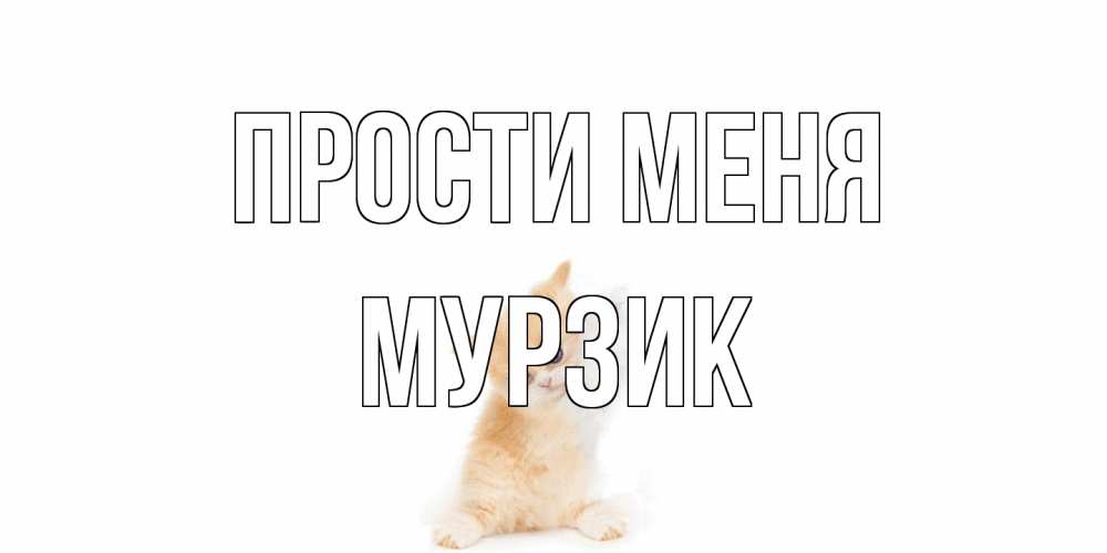 Открытка на каждый день с именем, Мурзик Прости меня кот Прикольная открытка с пожеланием онлайн скачать бесплатно 