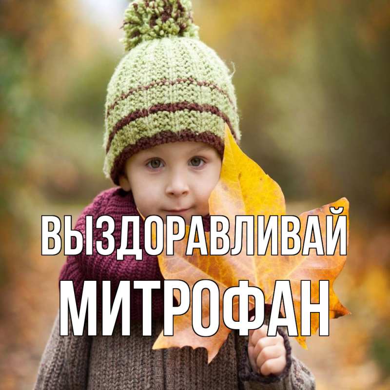 Картинка Выздоравливай, Митрофан