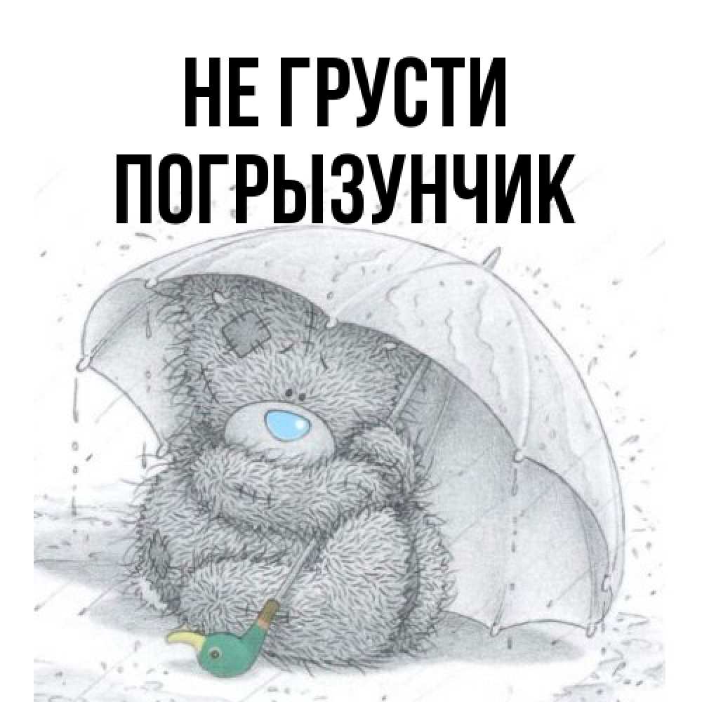 Открытка на каждый день с именем, Погрызунчик Не грусти спасите мишку Тедди Прикольная открытка с пожеланием онлайн скачать бесплатно 