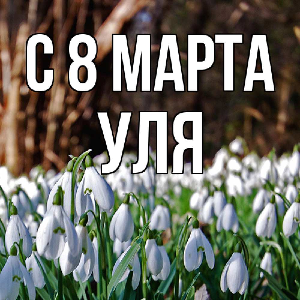 Открытка на каждый день с именем, Уля C 8 МАРТА с подснежниками 1 Прикольная открытка с пожеланием онлайн скачать бесплатно 