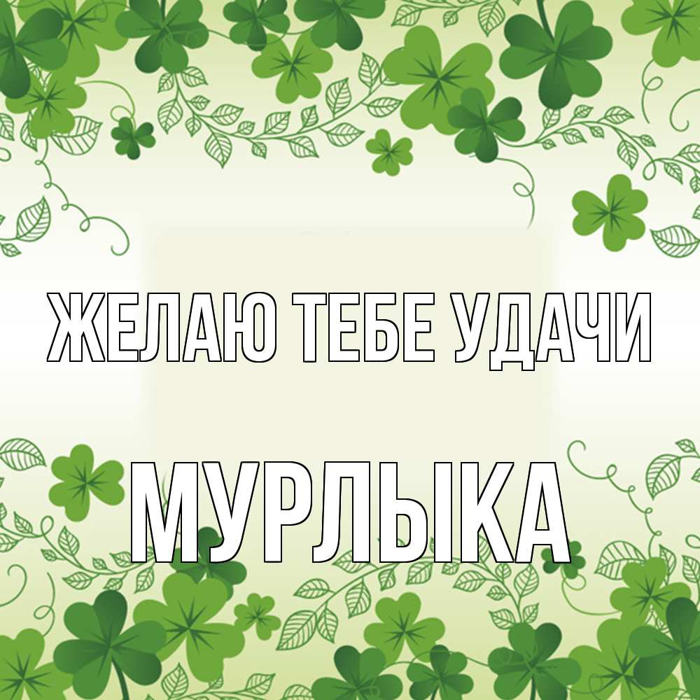 Открытка на каждый день с именем, мурлыка Желаю тебе удачи открытка Прикольная открытка с пожеланием онлайн скачать бесплатно 