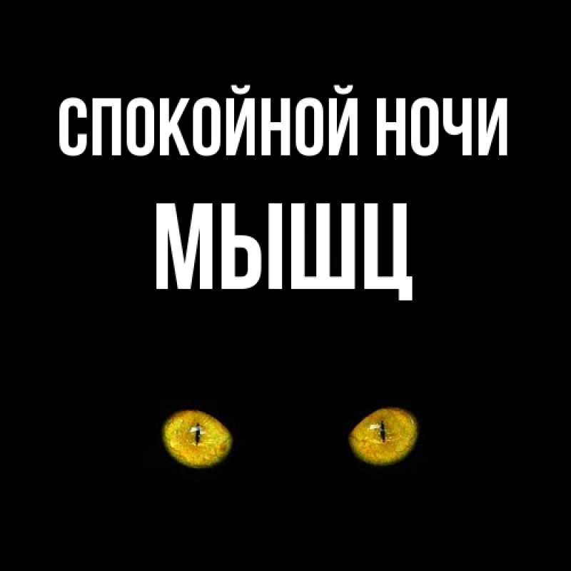 Картинка Спокойной ночи, Мышц