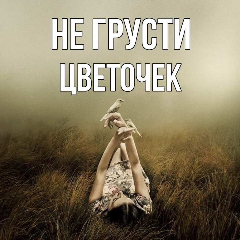 Картинка Не грусти, Цветочек