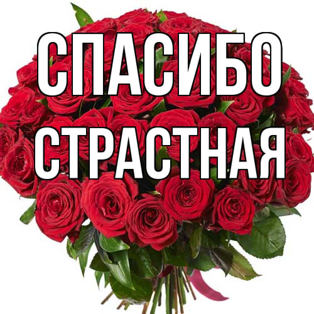 Открытка на каждый день с именем, Страстная Спасибо букет красных роз Прикольная открытка с пожеланием онлайн скачать бесплатно 