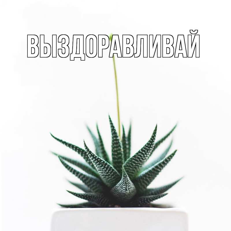 Картинка Выздоравливай, открытка бесплатно