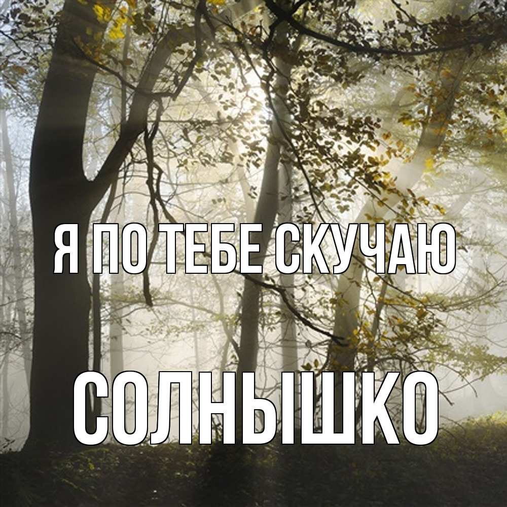 Открытка на каждый день с именем, Солнышко Я по тебе скучаю грустно Прикольная открытка с пожеланием онлайн скачать бесплатно 
