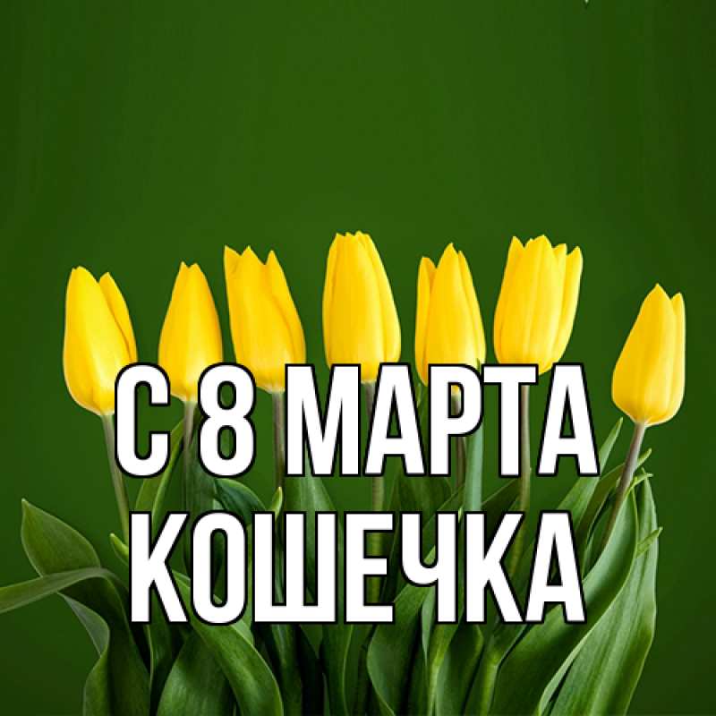 Картинка C 8 МАРТА, кошечка