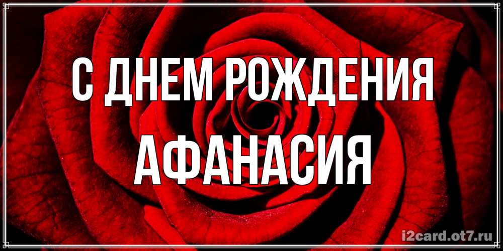 Открытка на каждый день с именем, Афанасия С днем рождения алая роза Прикольная открытка с пожеланием онлайн скачать бесплатно 