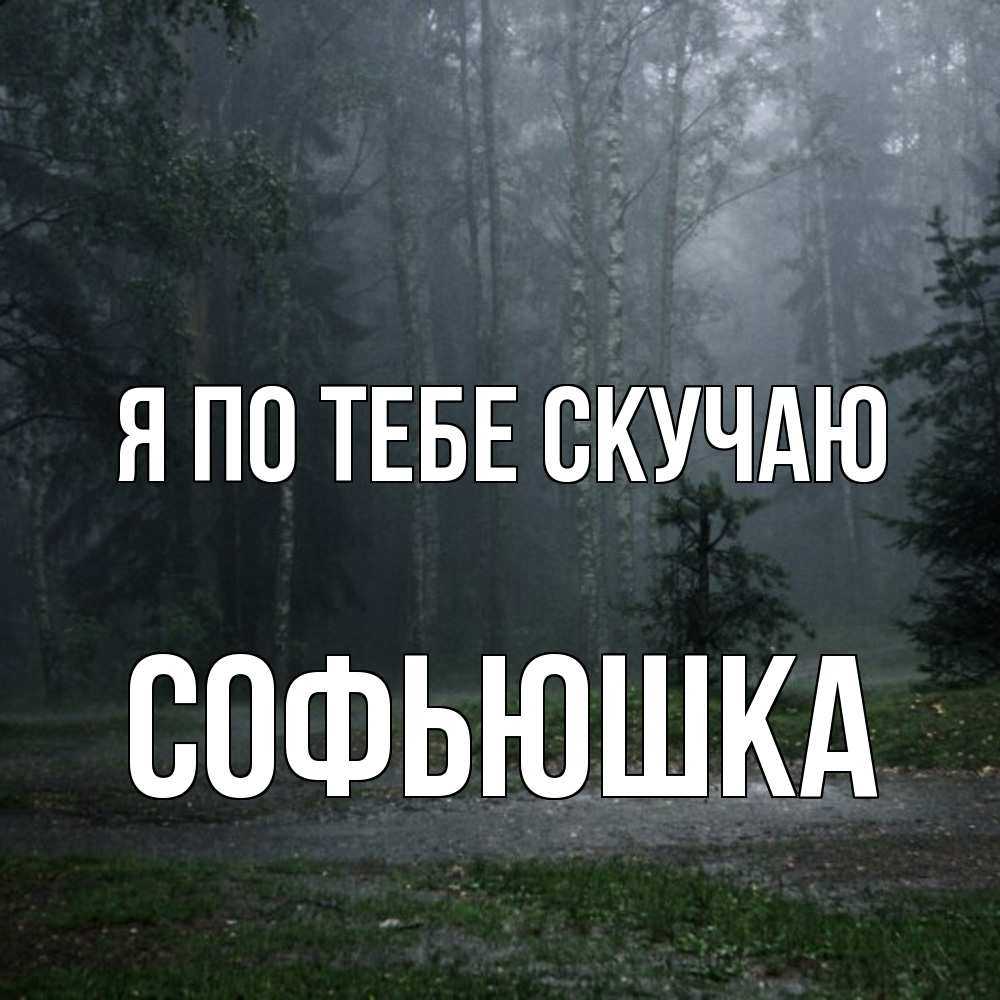 Открытка на каждый день с именем, Софьюшка Я по тебе скучаю одна и плохо мне Прикольная открытка с пожеланием онлайн скачать бесплатно 