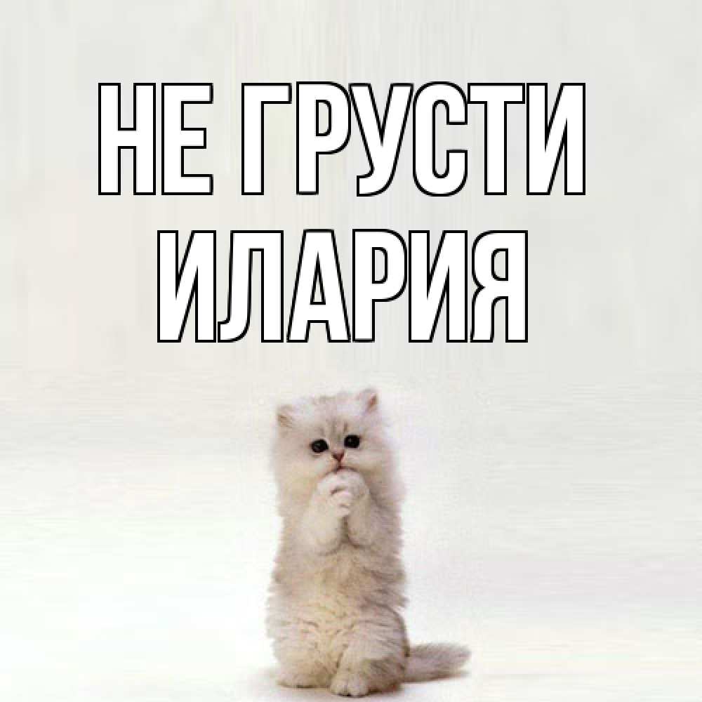 Открытка на каждый день с именем, Илария Не грусти грустный кот Прикольная открытка с пожеланием онлайн скачать бесплатно 