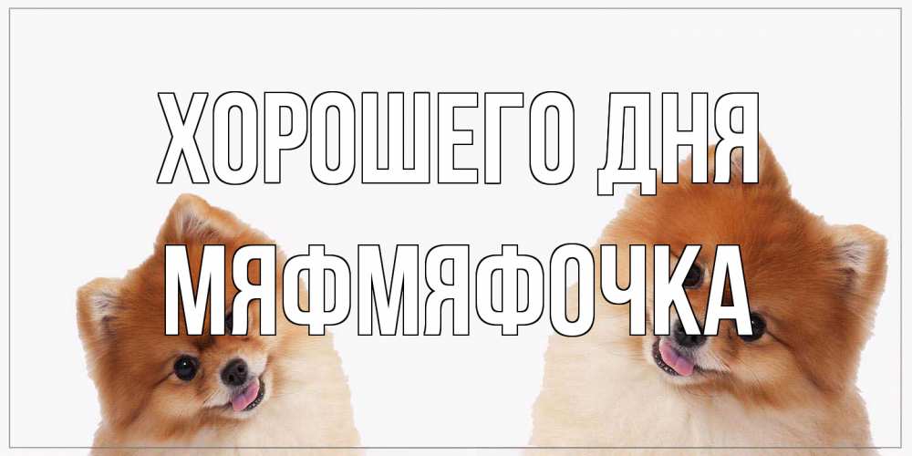Открытка на каждый день с именем, мяфмяфочка Хорошего дня собачки желают прекрасного дня Прикольная открытка с пожеланием онлайн скачать бесплатно 