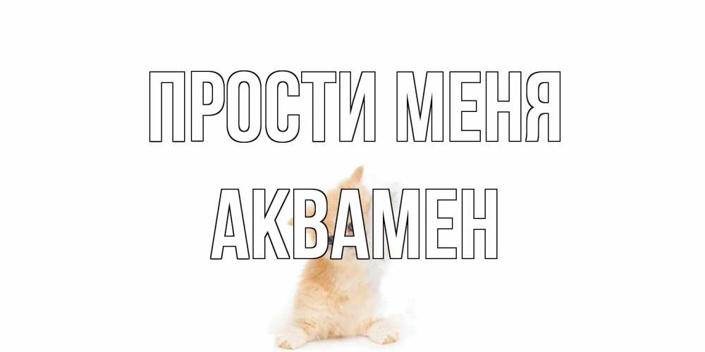 Открытка на каждый день с именем, Аквамен Прости меня кот Прикольная открытка с пожеланием онлайн скачать бесплатно 