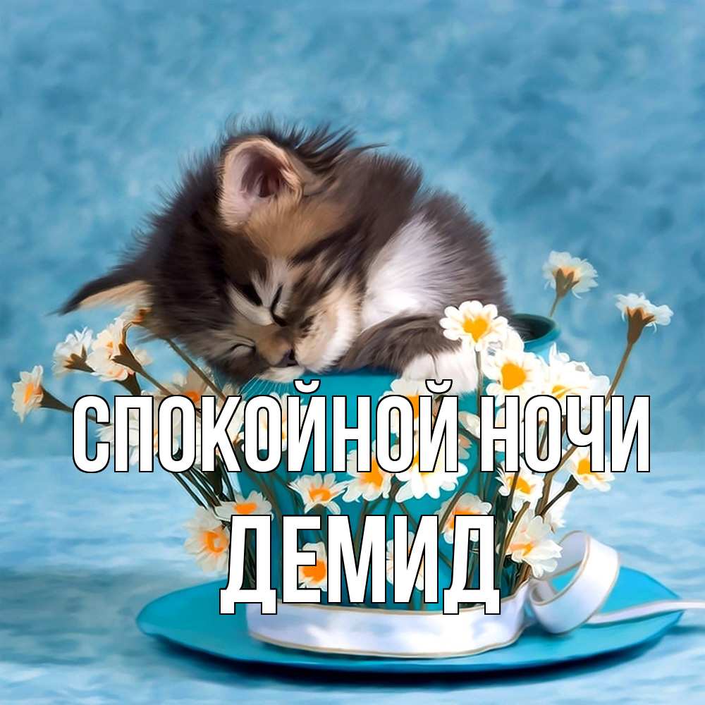 Открытка на каждый день с именем, Демид Спокойной ночи котенок спит в кружке с блюдцем Прикольная открытка с пожеланием онлайн скачать бесплатно 