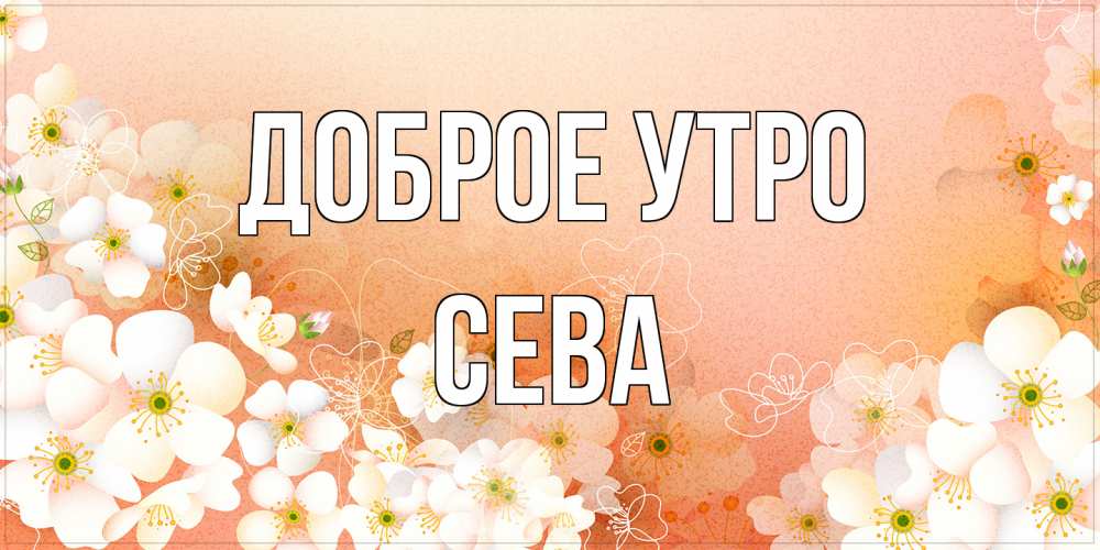 Открытка на каждый день с именем, Сева Доброе утро доброе утро с цветами Прикольная открытка с пожеланием онлайн скачать бесплатно 