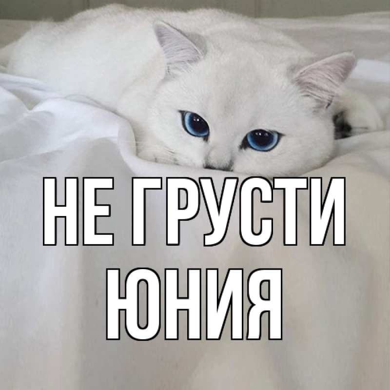 Картинка Не грусти, Юния