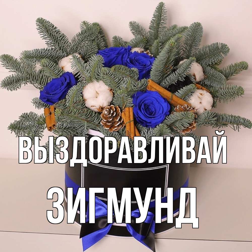 Открытка на каждый день с именем, Зигмунд Выздоравливай короче кто то загрузил эти шишки Прикольная открытка с пожеланием онлайн скачать бесплатно 