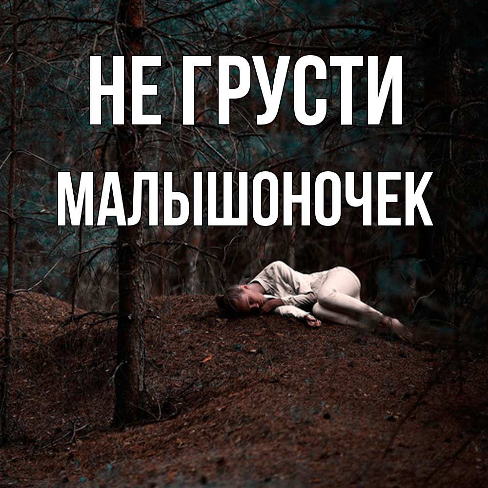 Открытка на каждый день с именем, Малышоночек Не грусти лес Прикольная открытка с пожеланием онлайн скачать бесплатно 